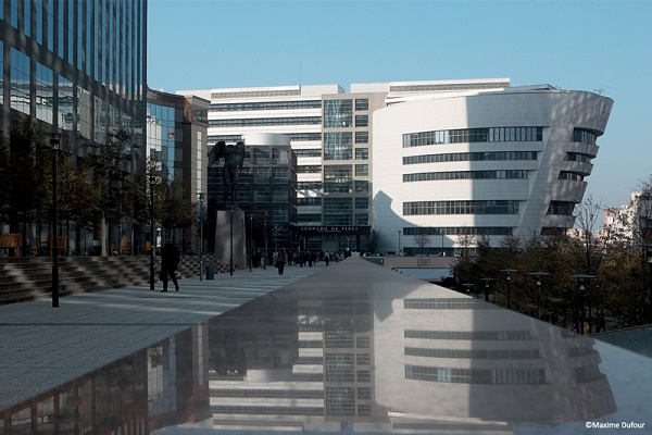 Study Abroad Consultancy