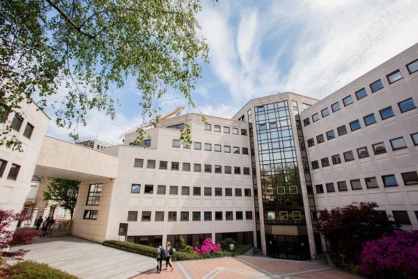 Study Abroad Consultancy