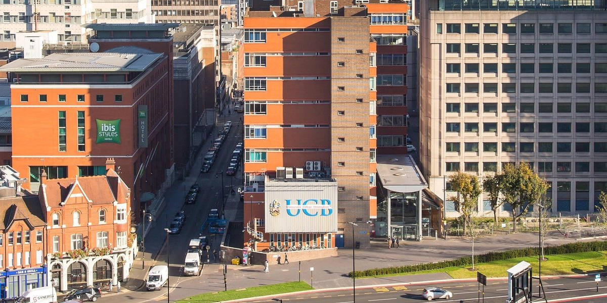 Study Abroad Consultancy