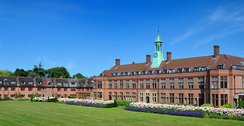 Study Abroad Consultancy