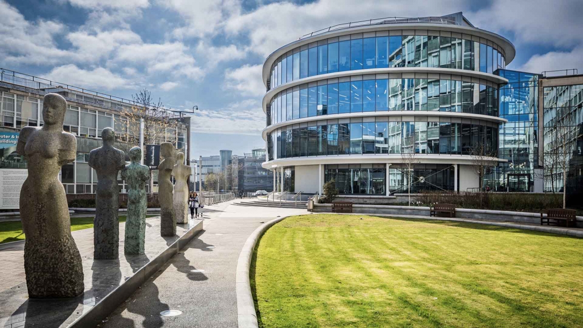 Study Abroad Consultancy